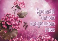 Блокнот - "Кроткий ответ отвращает гнев".