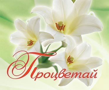 Открытка маленькая "Процветай"
