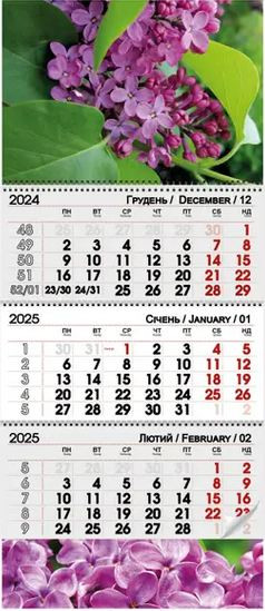 Квартальний календар 2025 "Бузок"